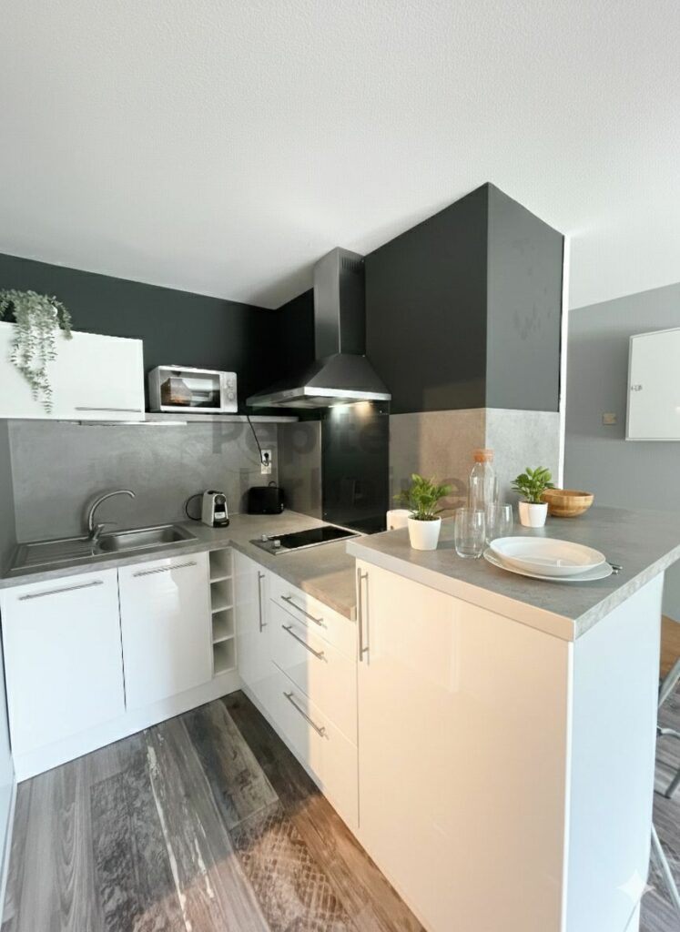 ✨Pépite À louer – T2 meublé entièrement rénové dans résidence sécurisée avec parking