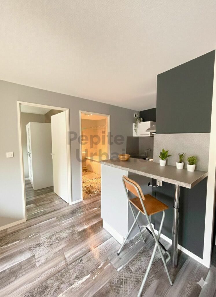 ✨Pépite À louer – T2 meublé entièrement rénové dans résidence sécurisée avec parking